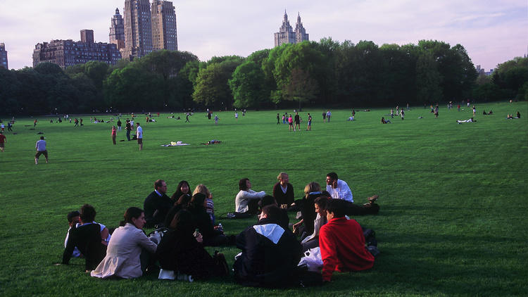 Sheep Meadow