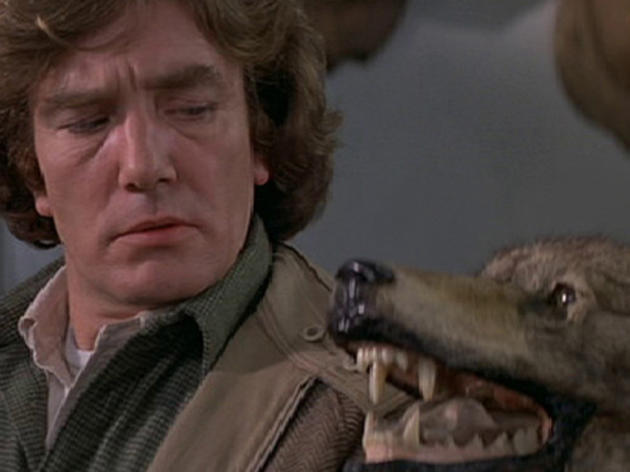 New York movies: Wolfen (1981)