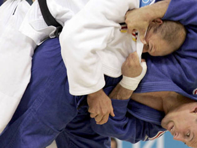Judo Judo (Photograph: Jussi Nukari / Rex USA)