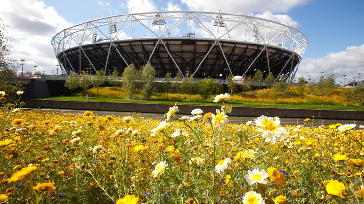 Go swimming at the Olympic Park