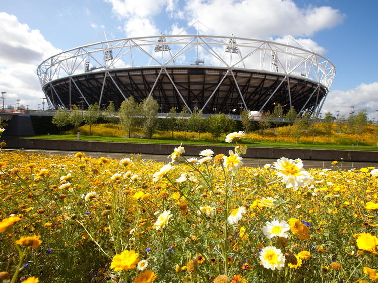 Go swimming at the Olympic Park