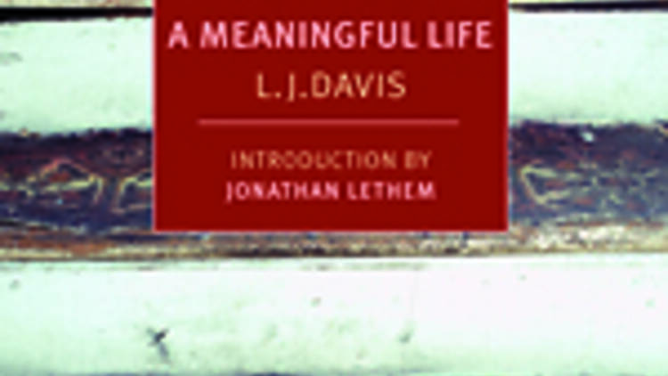 A Meaningful Life by L.J. Davis