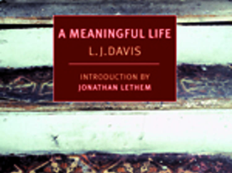 A Meaningful Life by L.J. Davis