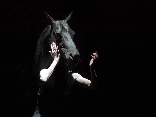 Le Centaure et l'animal Le Centaure et l'animal (Nabil BOUTROS/ WikiSpectacle)