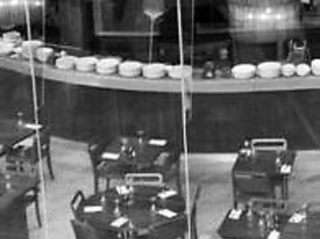 Zizzi - Victoria Zizzi - Victoria