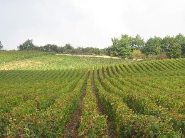La Route du Champagne La Route du Champagne