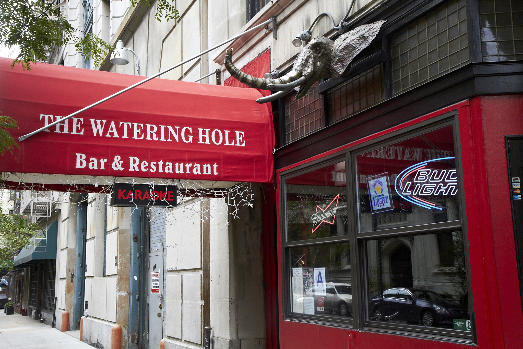 The Watering Hole Bars In Gramercy New York