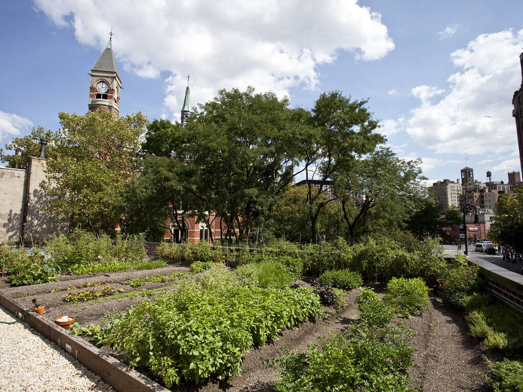 Best Farm To Table NYC Restaurants That Families Will Love