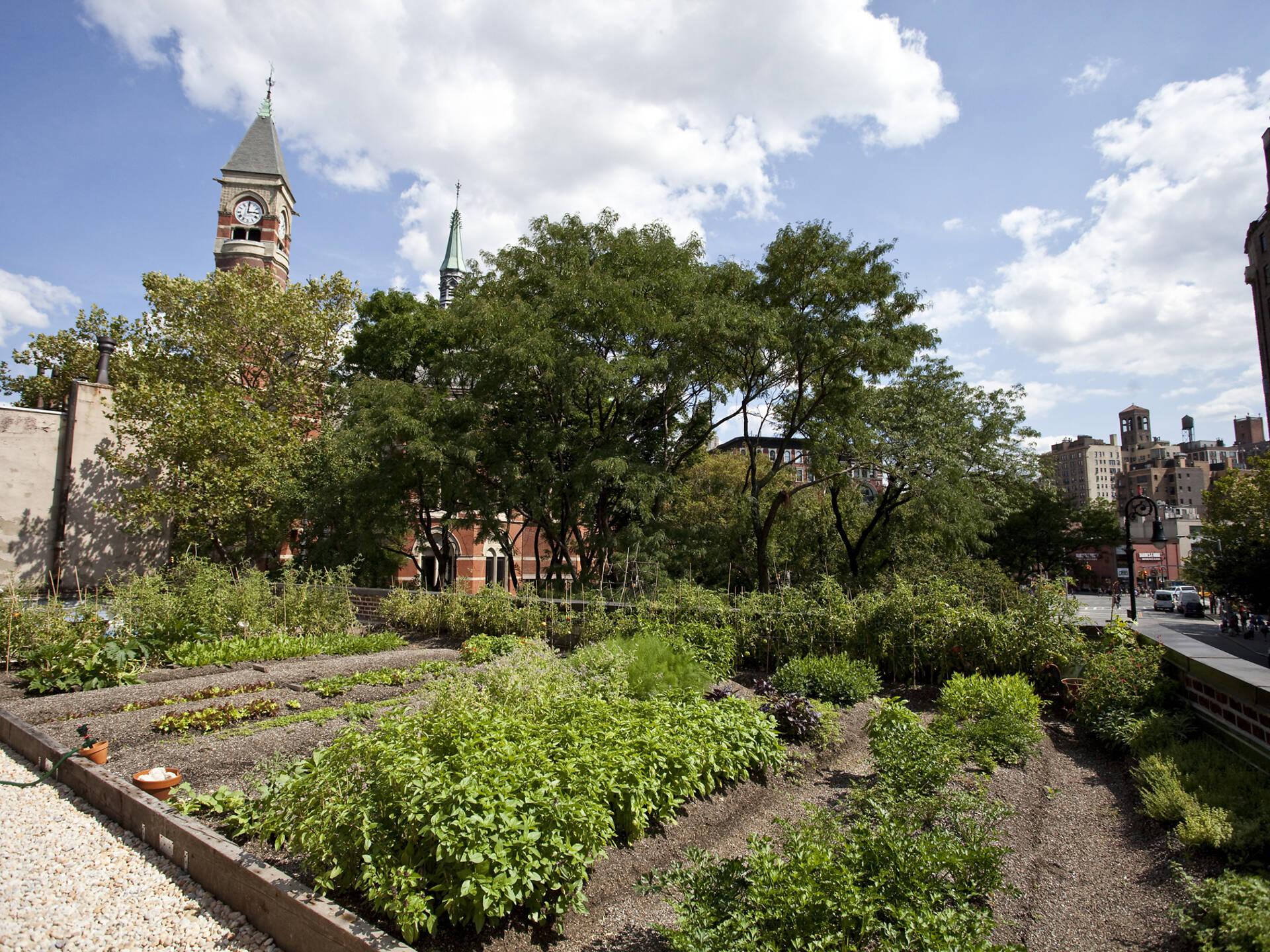 Best Farm To Table NYC Restaurants That Families Will Love