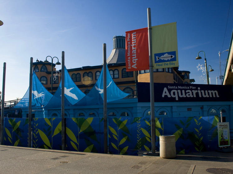 Earth Day Celebration at the Santa Monica Pier Aquarium