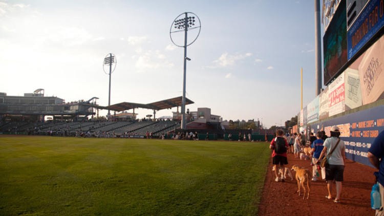 Bark in the Park with the Brooklyn Cyclones