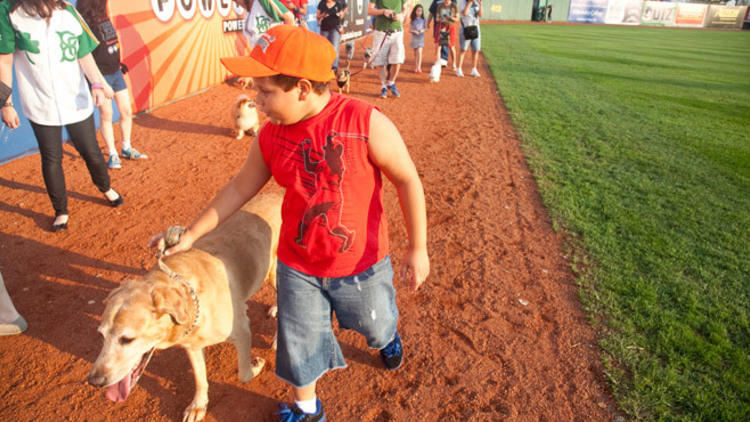 Bark in the Park with the Brooklyn Cyclones