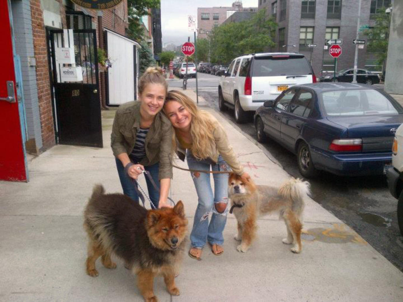 Find A Great Pet Store In New York City find-a-great-pet-store-in-new-york-city