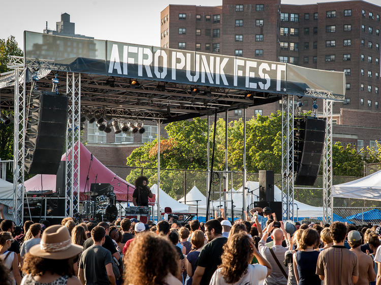 Reggie Watts at Afropunk Fest 2012