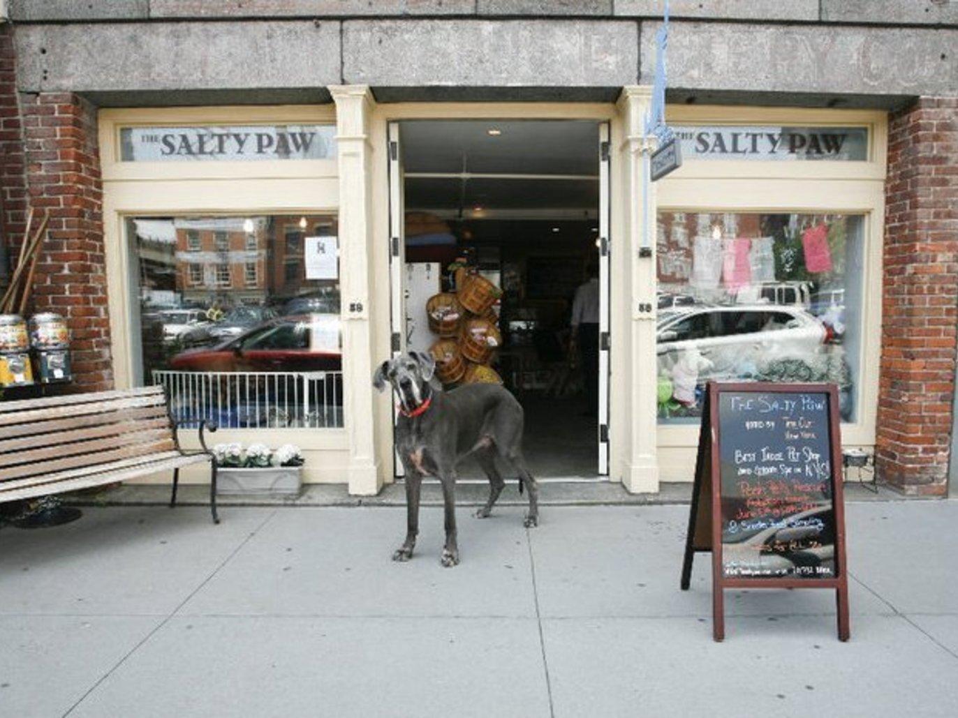 Find a great pet store in New York City