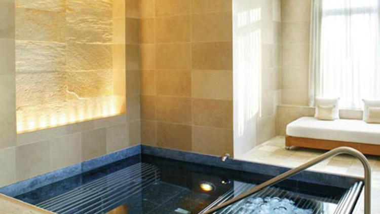 The Spa at the Mandarin Oriental, New York: Nature's Radiant facial