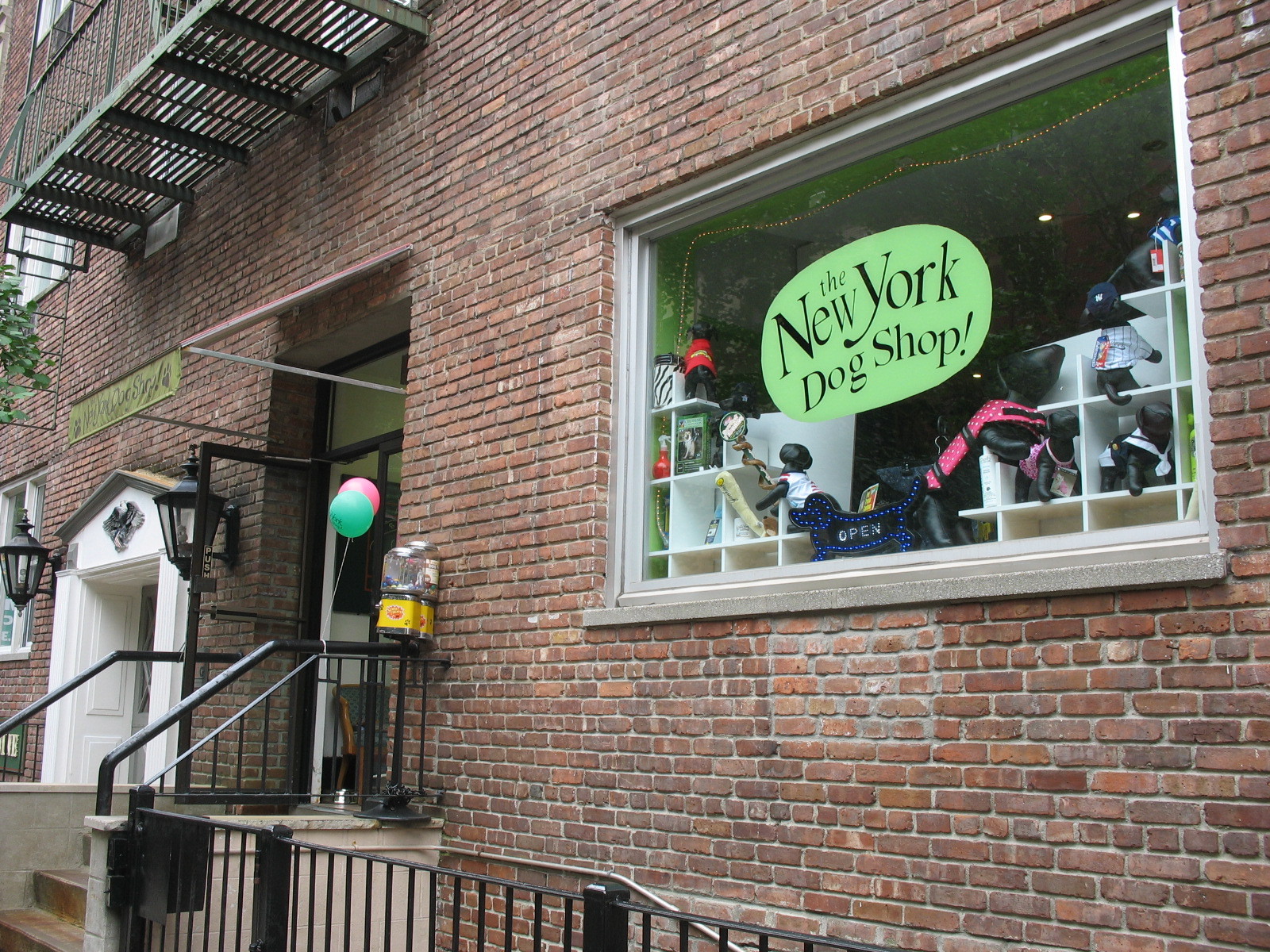 Find a great pet store in New York City