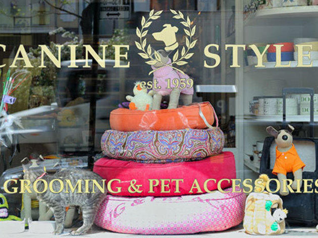 Find a great pet store in New York City