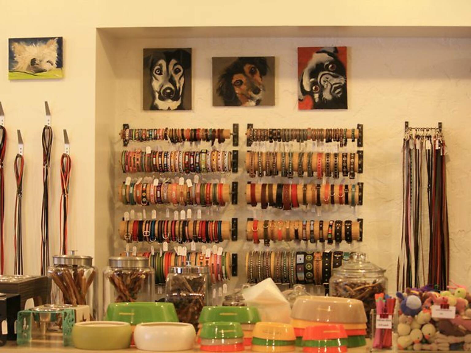 Find a great pet store in New York City