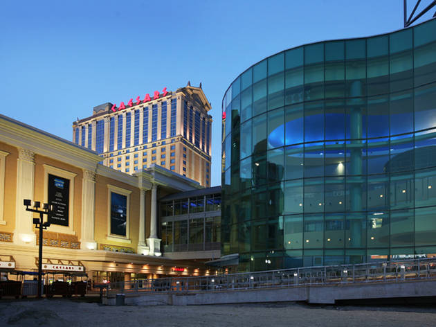 hotels near atlantic city international airport