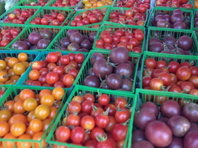 Hollywood Farmers’ Market Hollywood Farmers’ Market