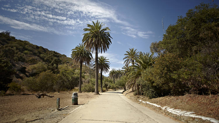 Runyon Canyon