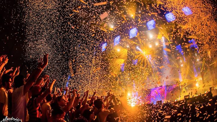 Your Guide to Electric Zoo 2023