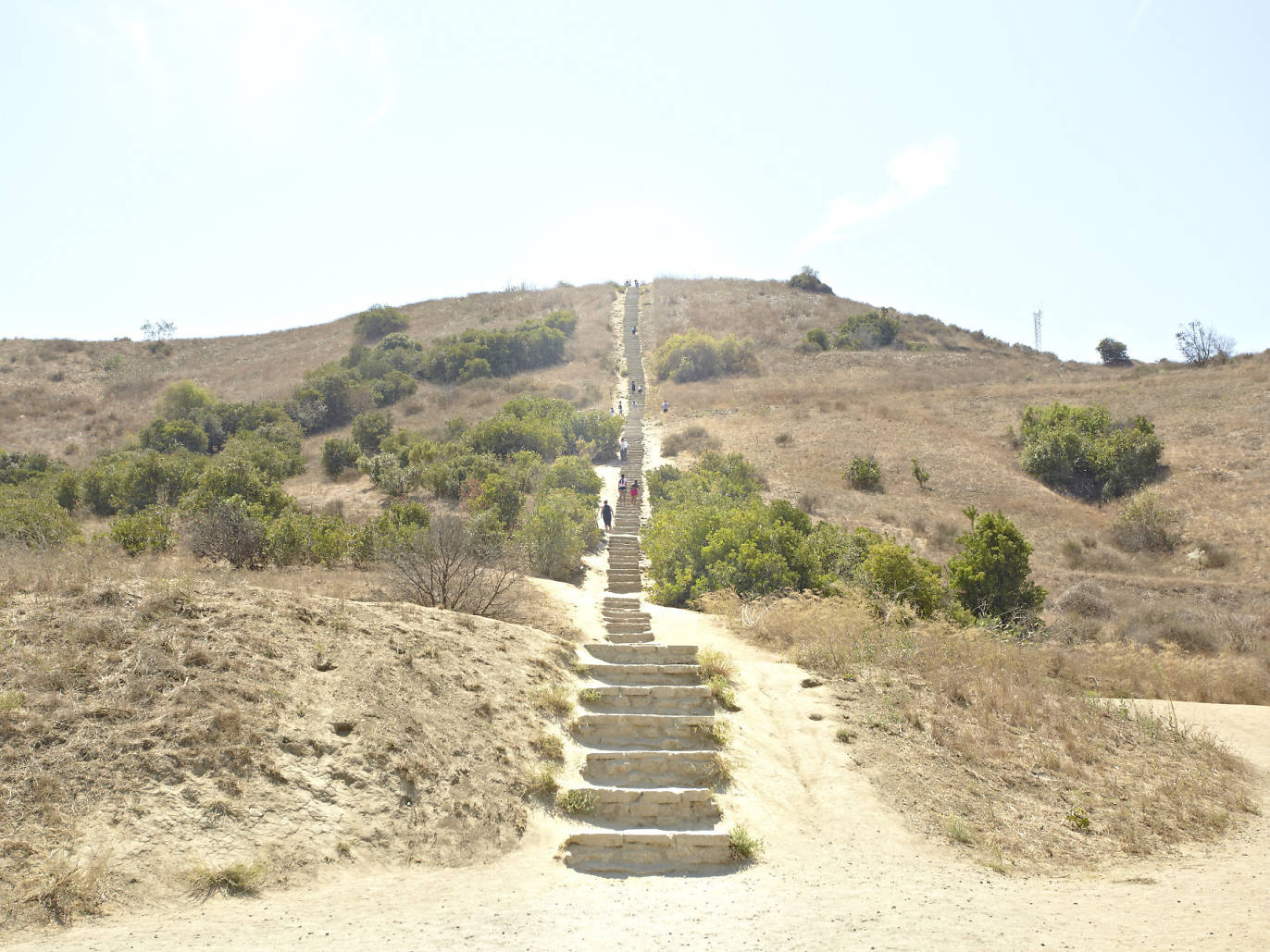 6 Best Hikes And Trails in L.A. to Get Outdoors and View the City