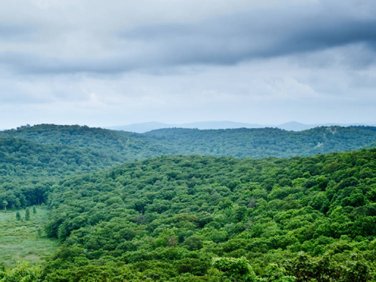 Bear Mountain State Park