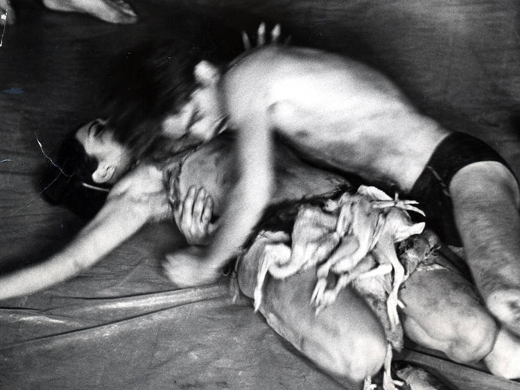 Carolee Schneemann