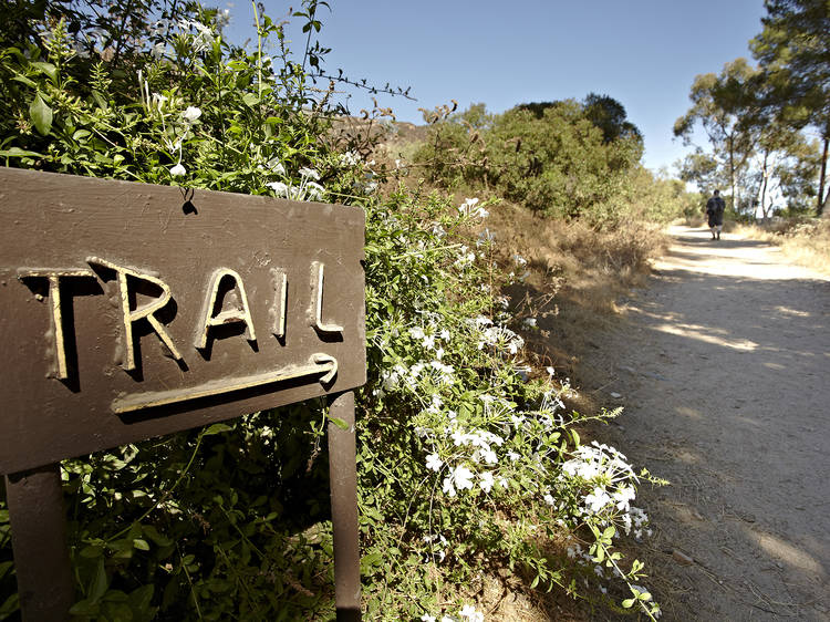 Take a hike into the San Gabriel Mountains