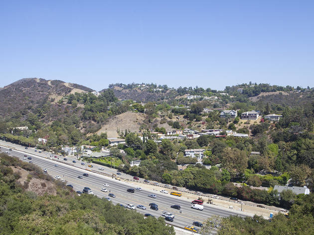 (Photograph: Jakob N. Layman)