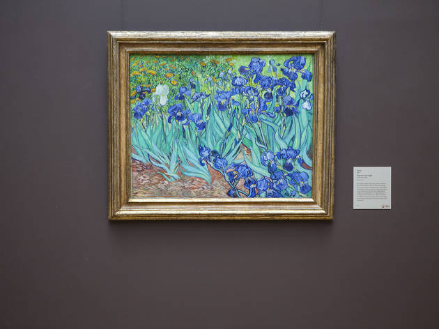 (Photograph: Jakob N. Layman)