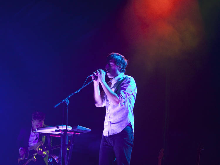 Grizzly Bear at Radio City