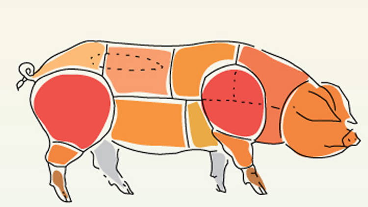 Whole hog butchery