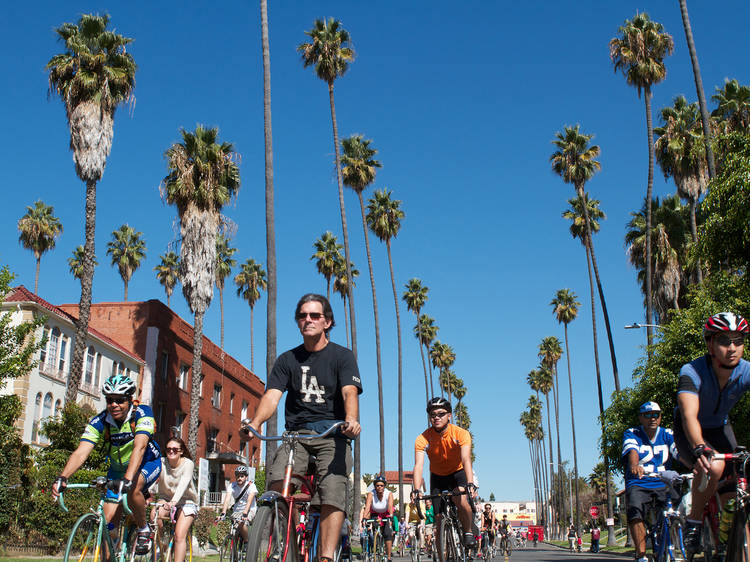 The Ultimate Los Angeles Bike Tour