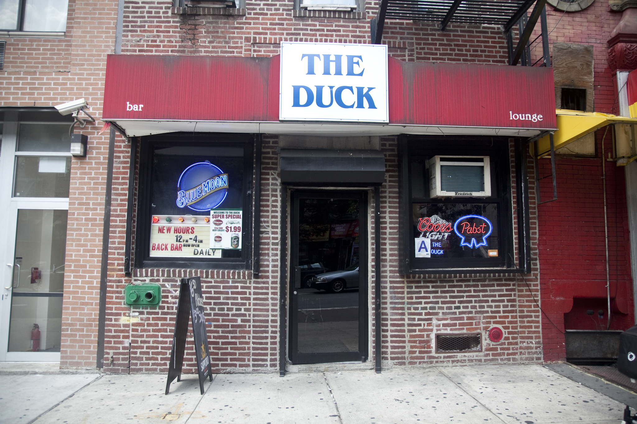 The Duck | Bars in East Harlem, New York