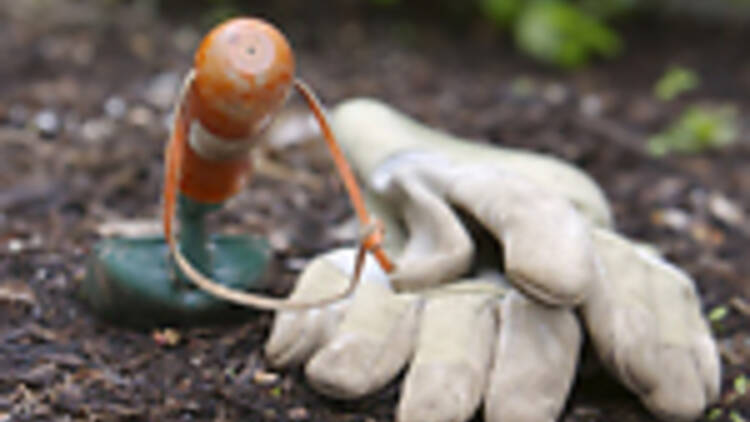 Gardening