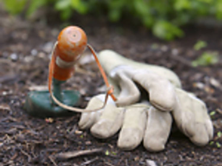 Gardening