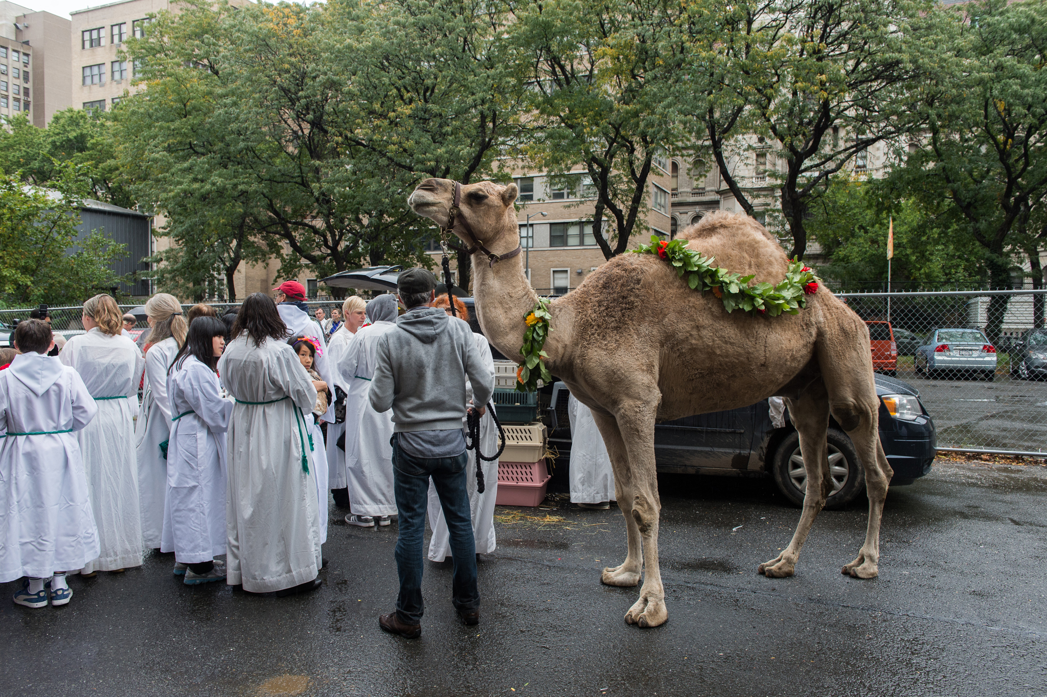 Blessing of the Animals Things to do in Los Angeles