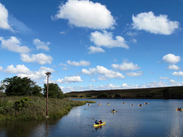 Freshkills Park Freshkills Park