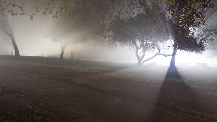 Los Angeles Haunted Hayride at the Griffith Park Old Zoo