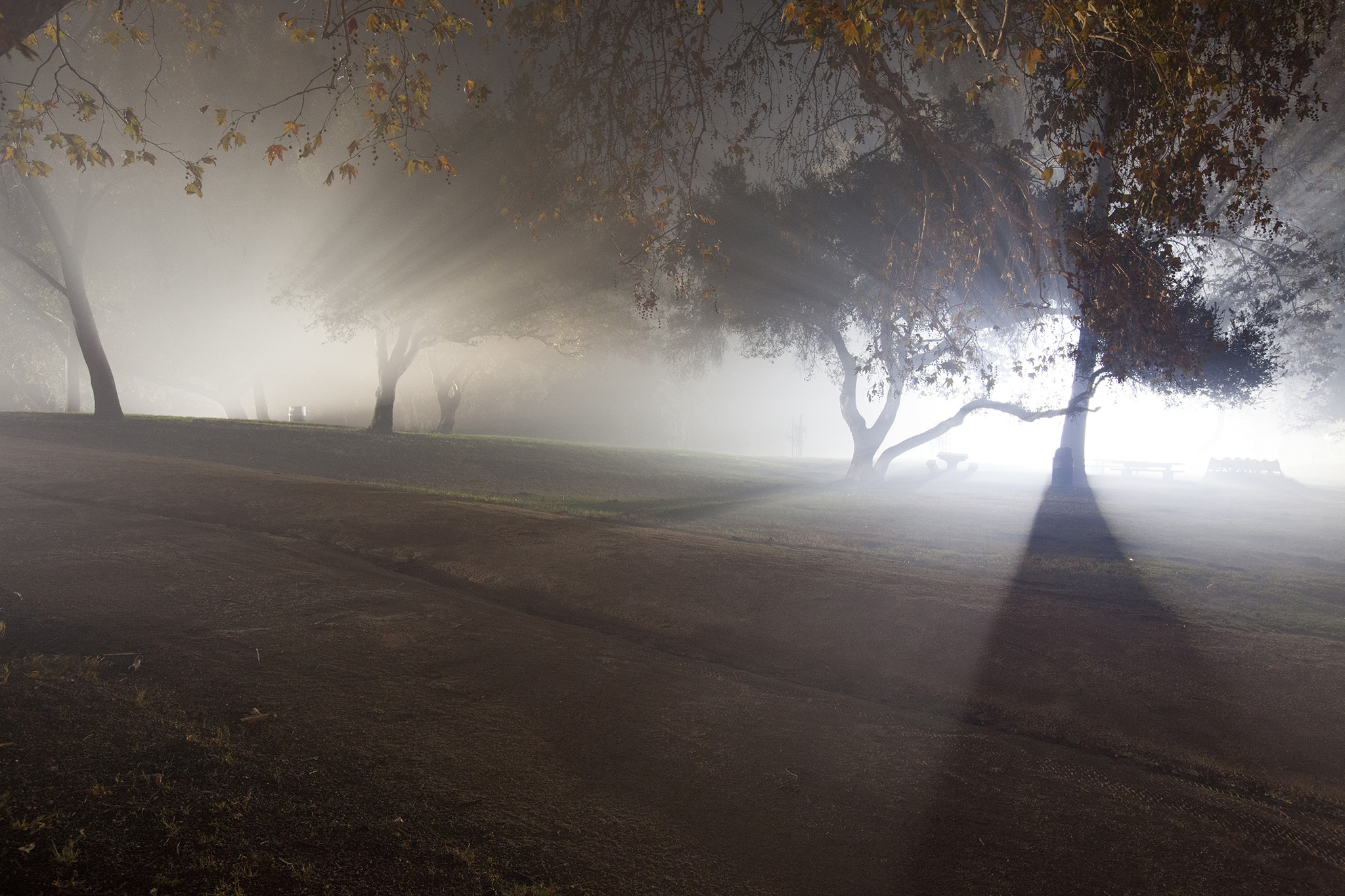 Haunted Ghost Towns in CA - Nights of the Jack