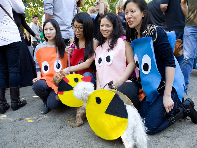Tompkins Square Park Halloween Dog Parade Things To Do In New York - k9 cop dog halloween costume casual canine 1 roblox