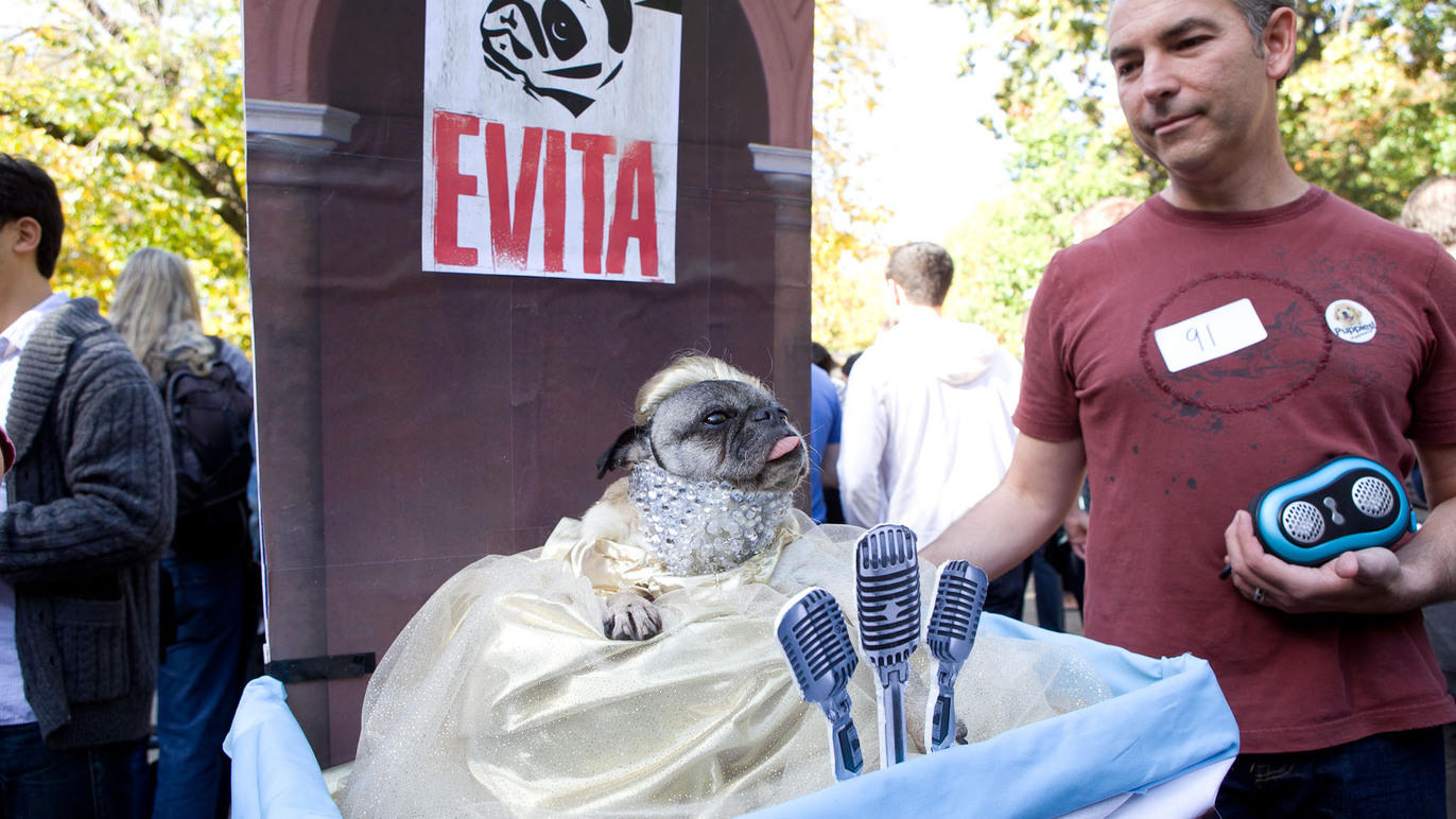 The Tompkins Square Park Halloween Dog Parade is returning in 2024!