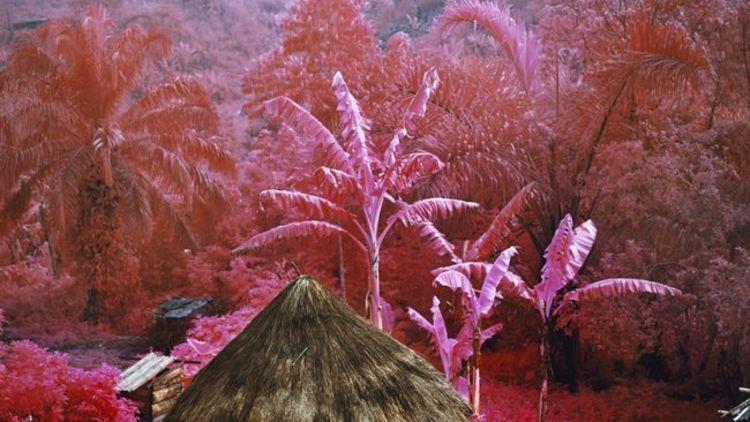'Come Out' / © Richard Mosse