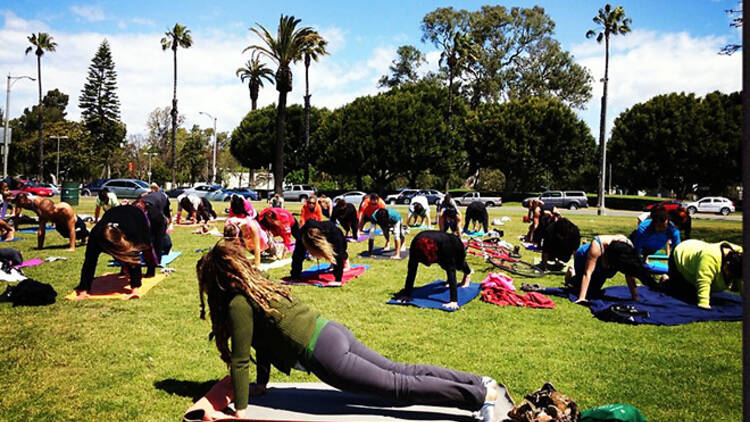 Yogalution on Bluff Park