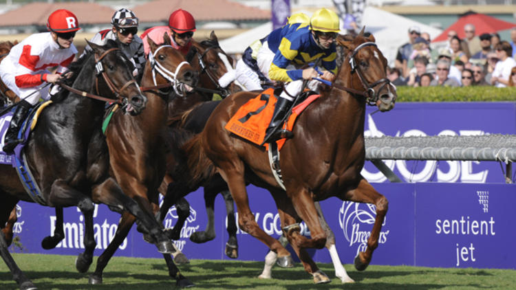 Breeders' Cup