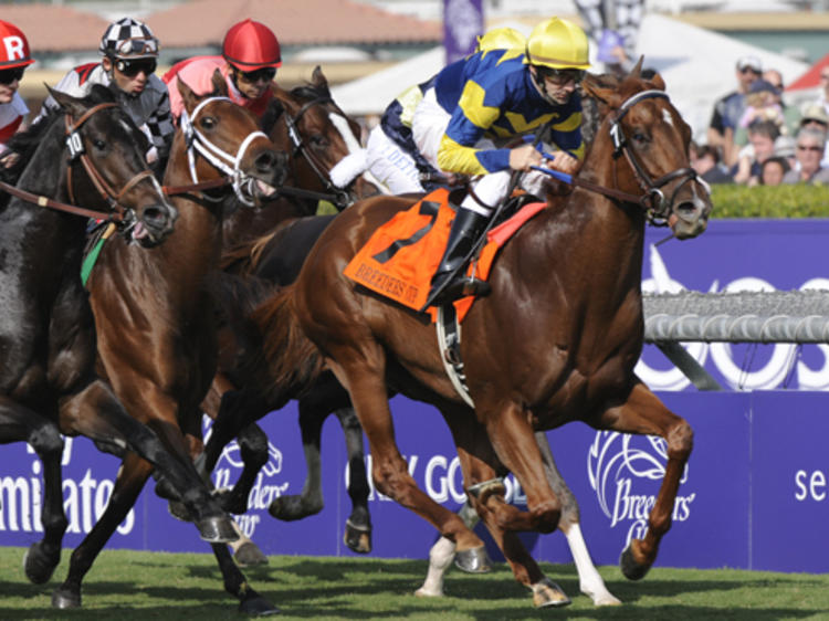 Breeders' Cup