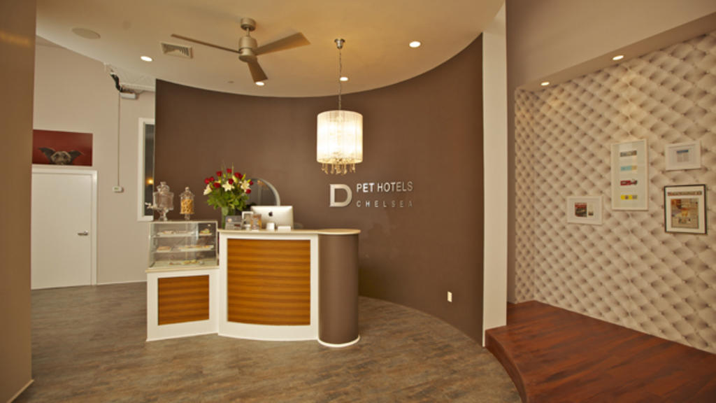 Best highend pet boutiques in New York City